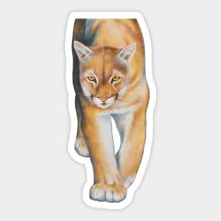 Cougar Sticker